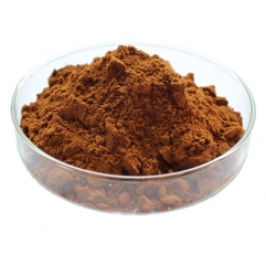 Organic Cordyceps Militaris Extract Powder