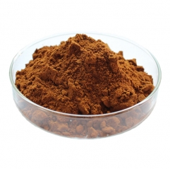 Siberian Chaga Mushroom Extract Powder