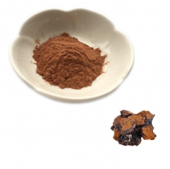 Organic Chaga Extract