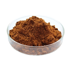 Organic Hericium Erinaceus Extract Powder