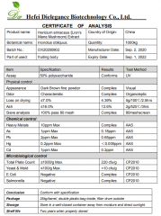 Organic Hericium Erinaceus Extract Powder