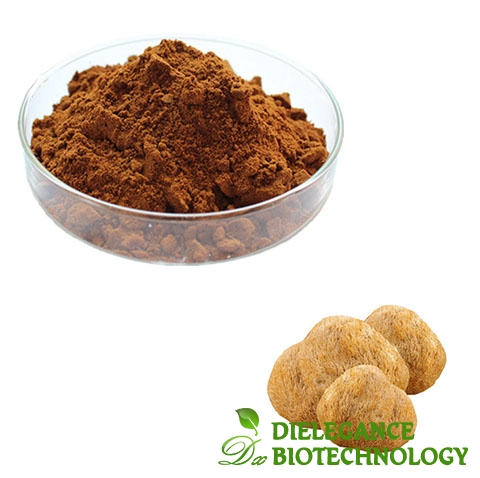 Organic Hericium Erinaceus Extract Powder