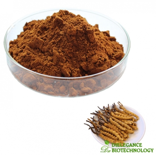 Cordyceps Sinensis Mycelia Extract