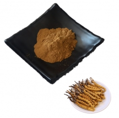 Cordyceps Sinensis Extract Powder