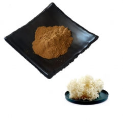 Sparassis Crispa Extract