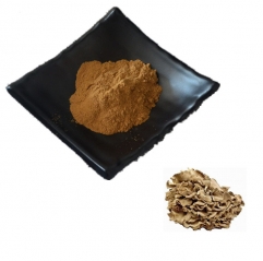 Organic Maitake Mushroom Powder