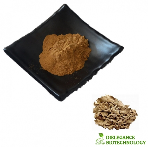 Organic Maitake Mushroom Powder