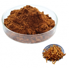 Organic Cordyceps Militaris Extract Powder