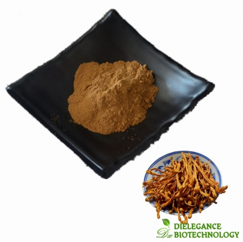 Cordyceps Militaris Extract