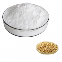 Plant Phytosterol Beta Sitosterol Powder