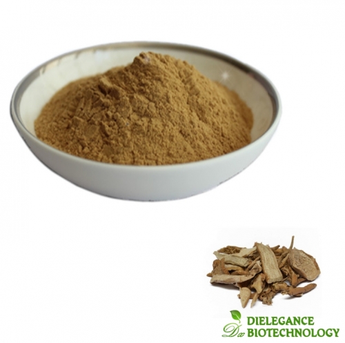 Cynanchum Wilfordii Extract