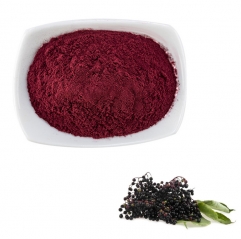 Black Elderberry Extract