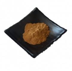 Mullein Flower Extract Powder