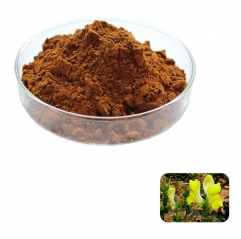 Mullein Leaf Extract