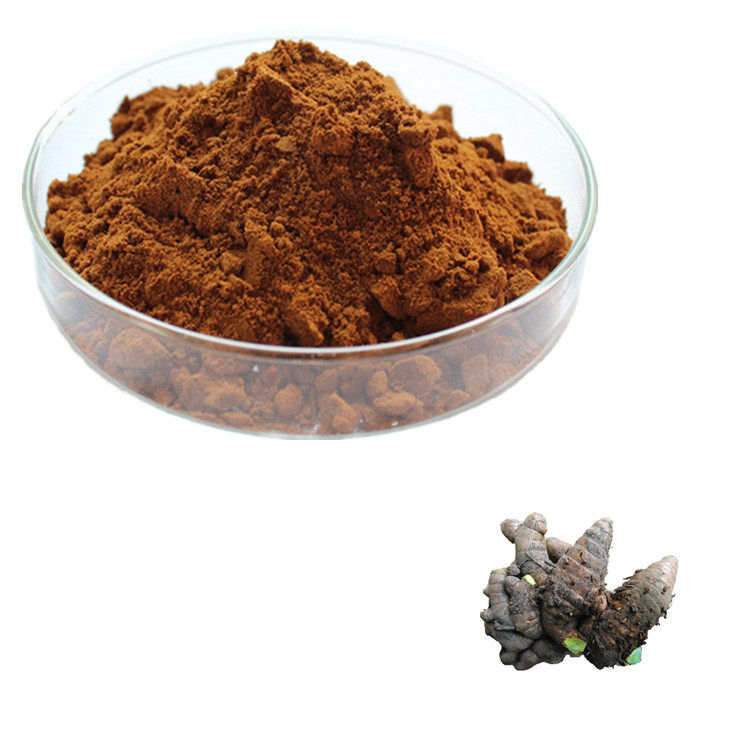 Black Ginger Extract Benefits | Black Ginger Powder Supplier & Manufacturer