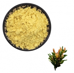 Pine Pollen Extract Powder