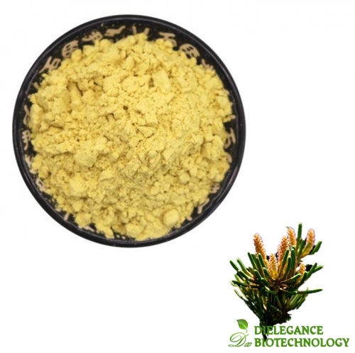 Pine Pollen Extract Powder