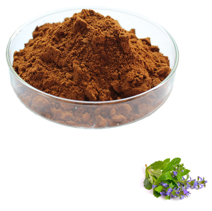 About Ajuga Turkestanica Extract - Health Benefits of Turkesterone