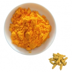 Turmeric Extract