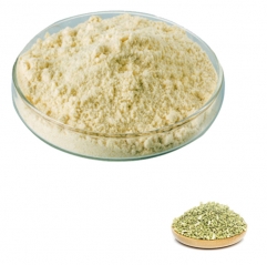 Sophora Japonica Extract Genistein Powder