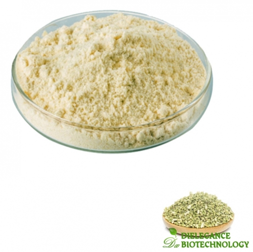 Sophora Japonica Extract Genistein Powder