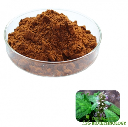 Pure Ajuga Turkestanica Extract 10% Turkesterone Powder for Muscle Improvement