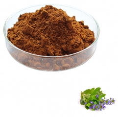 Ajuga Turkestanica Extract