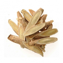 Astragalus Membranaceus Extract