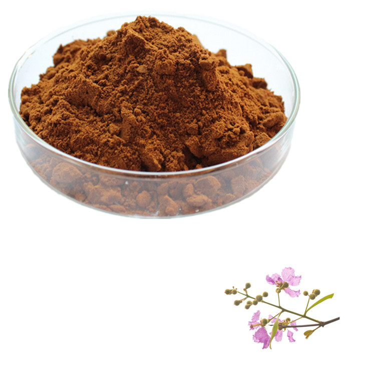 Benefits of Banaba Extract | Active Ingredient Corosolic Acid
