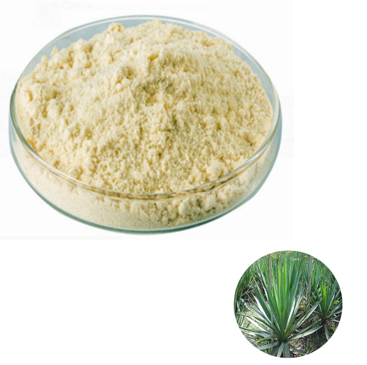 Yucca Extract Benefits | Bulk Wholesale Supplier and Manufacturer of Yucca Extract