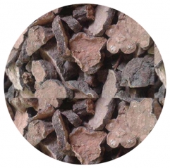 Polygonum Multiflorum Root Extract Powder