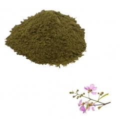 Banaba Extract 10% Corosolic Acid Powder