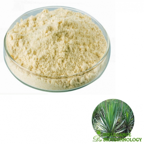 Yucca Extract Sarsaponin