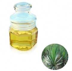 Liquid Yucca Extract Sarsaponin