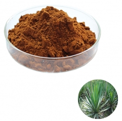 Yucca Schidigera Extract