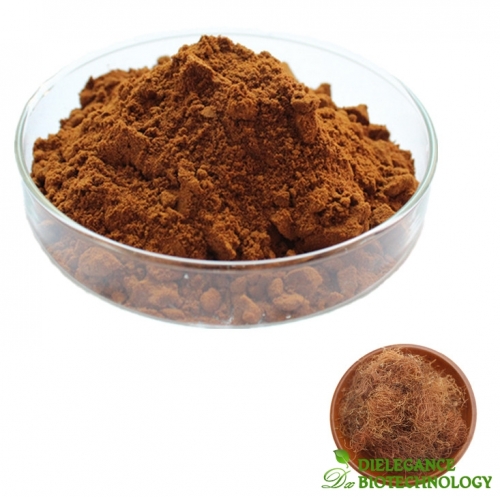 Corn Silk Extract