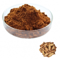 Burdock Root Extract