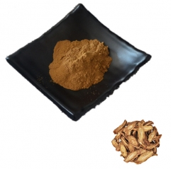 Arctium Lappa Root Extract