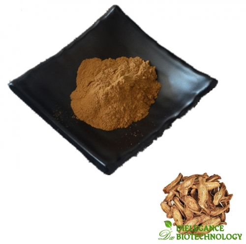 Arctium Lappa Root Extract