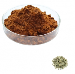 Alchemilla Vulgaris Extract