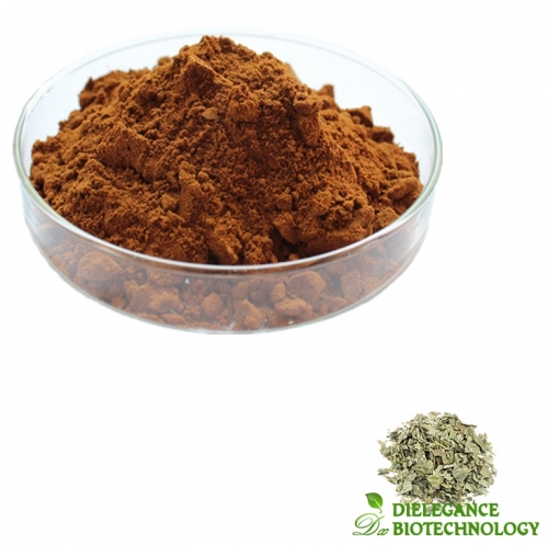 Alchemilla Vulgaris Extract