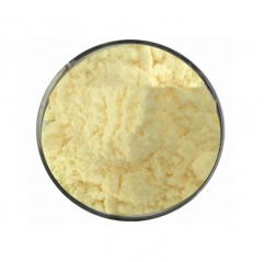 Sophora Japonica Extract Rutin Powder
