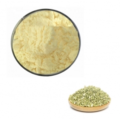 Sophora Japonica Extract Rutin Powder