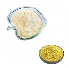 Bee Pollen Extract Powder