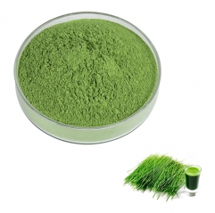 Groß Organic Zeremonielle Matcha Pulver