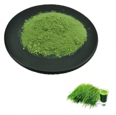 Groß Organic Zeremonielle Matcha Pulver