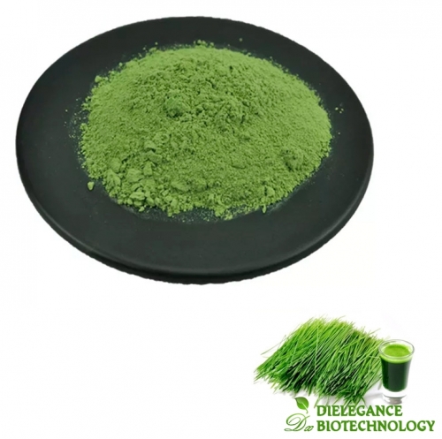 Barley Grass Juice Powder