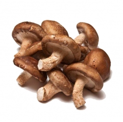 Shitake Mushroom Extract