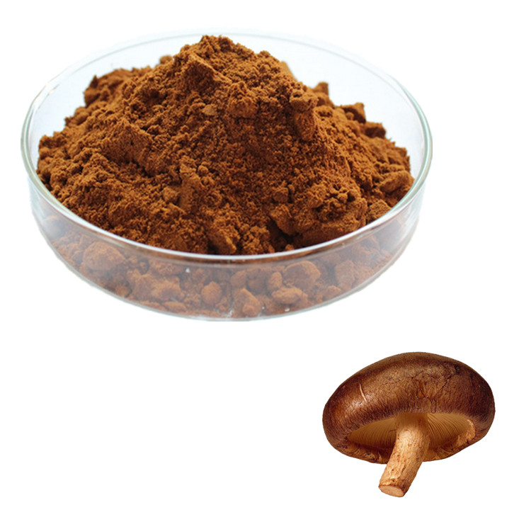 Shiitake Mushroom Extract | Shiitake Mushroom Extract Suuplier and Manufacturer