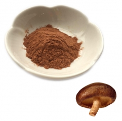 Shiitake Mushroom Extract